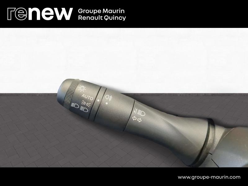 RENAULT Arkana d’occasion à vendre à QUINCY-SOUS-SÉNART chez GGF - SAVY (Photo 18)